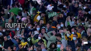 Spain: Real Betis fans throw thousands of toys onto pitch for charity