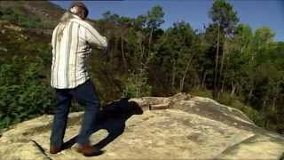 DGPM 1064 - 10: Lagares de piedra