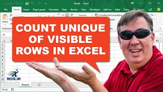 Unique Count Of Visible Rows in Excel - 2399