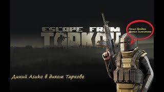 Ламповый стрим с Asuko в Escape from Tarkov