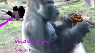 !!!УУУУУУУ Какое мерзкое видео!! (смотрю мерзкие видео на ютуб.