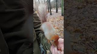Копия доверяет мне / Copy trusts me
