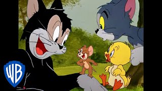 Tom und Jerry auf Deutsch | Die besten Nebenfiguren | WB Kids