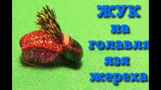 жук на голавля язя жереха #28