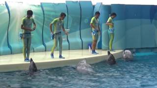 きずな♪（2016/07/09) 12：00～ ” 大事なのは チームワーク（＾＾♪ ”