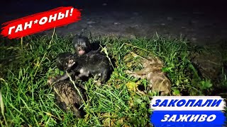 НОВОРОЖДЕННЫХ КОТЯТ ЗАКОПАЛИ ЗАЖИВО! ПРЫГНУЛ С ВЫСОКОГО МОСТА! НАУШНИКИ JBL Г*ВНО?