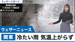 関東は冷たい雨に 気温上がらず