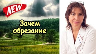 Зачем обрезание члену
