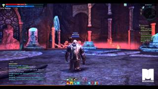 Tera Online CB Priest Gameplay (HD)