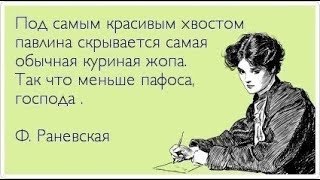 GS4073 Планов громадье! (Бункер 2ч)