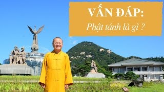 Vấn đâp: Phật tánh là gì ? | Thích Nhật Từ