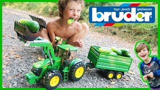 Bruder John Deere Tractor Harvests Organic Cucumbers!