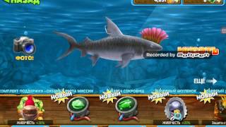 Прокачиваю тигровую акулу в игре HUNGRI  SHARK EVOLUTION