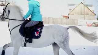 Белоснежные лошадки!