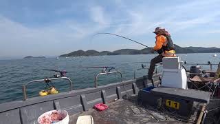 풍화리경신레저 참돔50.70cm우리한솟맛
