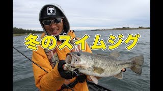 【水野浩聡】冬こそスイムジグな理由とは？