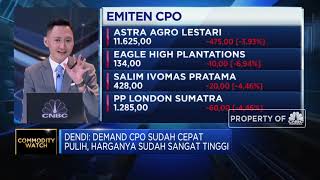 Sudah Sangat Tinggi, Harga CPO Diproyeksi Akan Terkoreksi