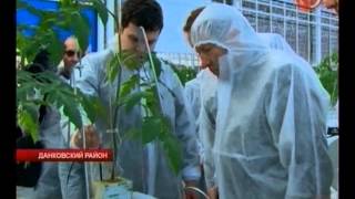 Тепличный комбинат "ЛипецкАгро"