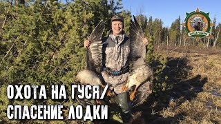 Охота на гуся 2018/Спасение лодки/Таёжные приключения