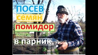 Пере сеял семена помидоров которые не проросли в парнике