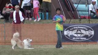 K9 CentralDiv.Championship 【Distance 決勝編 】