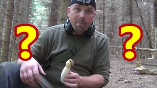 Exploring cool places and how to find Roman coins
