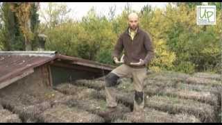 Conservatoire Dynamique des Gestes Techniques: l'écoconstruction- mur en bottes de paille