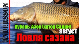 [Рыбалка] Ловля сазана и карпа на Кубани-Азов-хутор Садки (август)