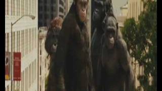 Trailer - La planète des singes : Les origines