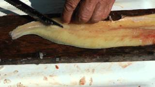 Almost Viral Northern pike bone removal fillet. Best ever instructional video on deboning fish.