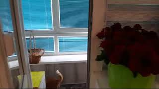 Мама Пришла Борщ Принесла