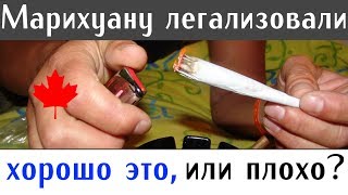 (Конопля) МАРИХУАНА УЗАКОНИНА. Хорошо это или плохо?