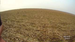 Goose hunting 2012