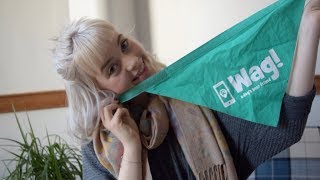 Working at WAG!/Being A Dog Walker