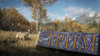 theHunter: Call of the Wild "Назад в Озёрный край" Layton Lake | Mallard Duck