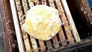 Пчеловодство , первая подкормка  пчел мёдом . Для подстраховки.