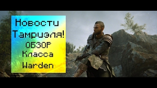 The Elder Scrolls Online: Morrowind (Новый класс Warden)