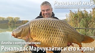 Ренальдас Марчукайтис и его карпы. Трофейная карповая ловля: идеология, практика, спорт, бизнес...