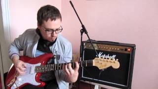 Stratocaster custom "Afet" перегруз (Максим Величко)