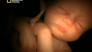 Las sensaciones intrauterinas de un bebe