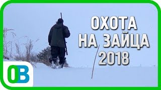 Охота на зайца зимой 2018 (киноверсия)