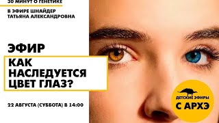 Детский эфир "Как наследуется цвет глаз?" в рамках рубрики "30 минут о генетике"