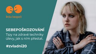 Sebepoškozování