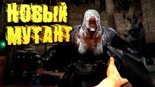 Дверь, которую нельзя открывать... Нашёл СЕКРЕТНЫЙ БУНКЕР в Mist Survival | B16