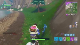 Fortnite W/ ShadowFox