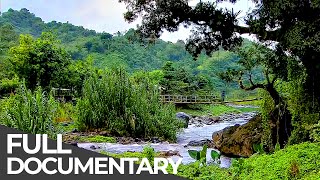 Amazing Quest: Stories from Jamaica | Somewhere on Earth: Jamaica