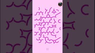 Loop Hex Level 286 - 290 Walkthrough
