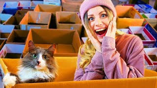 100 КОРОБОК ДЛЯ КОШКИ! СДЕЛАЛА КОМНАТУ - КАРТОННЫЙ ПАРК РАЗВЛЕЧЕНИЙ ДЛЯ КИСЫ АЛИСЫ! РЕАКЦИЯ КОШКИ