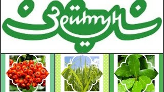 ЗЕЙТУН-натуральная косметика из Иордании по эксклюзивным рецептам | ZEITUN cosmetics natural