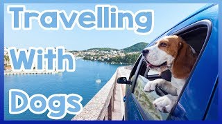 How to Travel with Dogs!